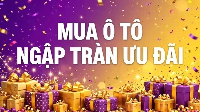 Địa điểm hỗ trợ xem xe tại Hải Phòng